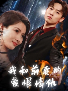 短剧我和前妻的爱恨情仇海报