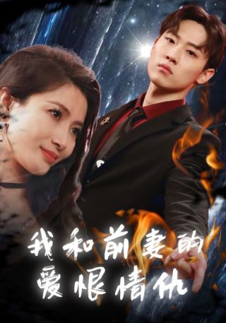 短剧我和前妻的爱恨情仇海报