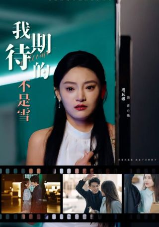短剧我期待的不是雪海报