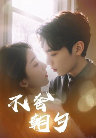 短剧不舍朝夕海报
