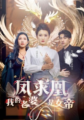 短剧凤求凰我的老婆是女帝海报