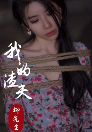 短剧我的渣夫柳先生海报