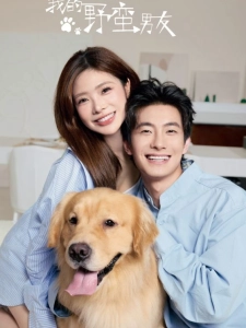 短剧我的野蛮男友海报