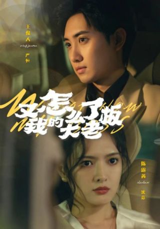 短剧又怎么了我的大老板海报