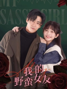 短剧我的野蛮女友海报