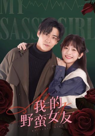 短剧我的野蛮女友海报