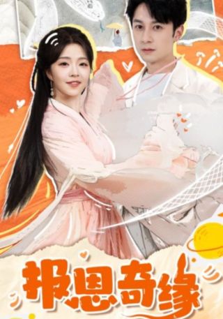 短剧报恩奇缘海报