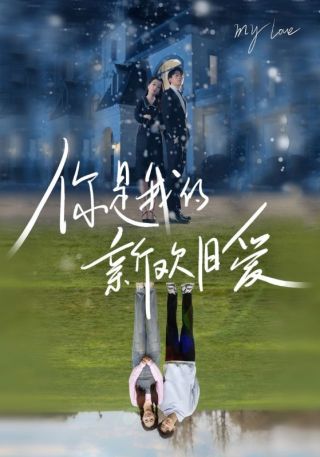 短剧你是我的新欢旧爱海报