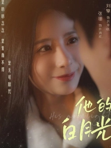 短剧他的白月光海报