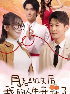 短剧月老助攻后我的人生开花了海报
