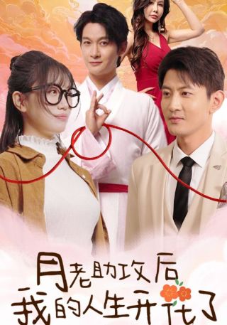 短剧月老助攻后我的人生开花了海报