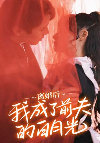 短剧离婚后我成了前夫的白月光海报