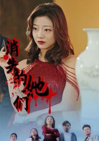 短剧消失的她们海报