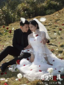 短剧燃烧的玫瑰海报