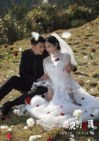 短剧燃烧的玫瑰海报