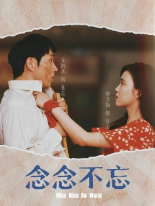 短剧念念不忘海报