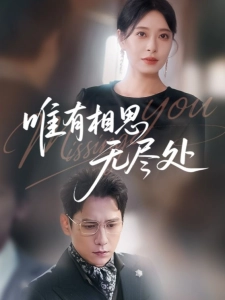 短剧唯有相思无尽处海报