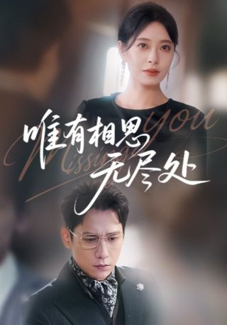 短剧唯有相思无尽处海报