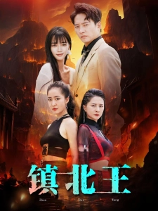 短剧镇北王海报