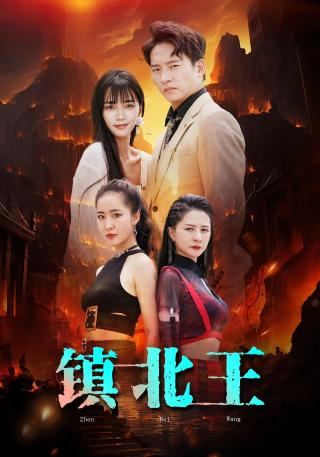 短剧镇北王海报