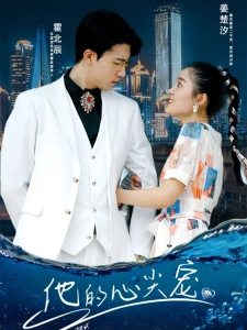 短剧他的心尖宠海报