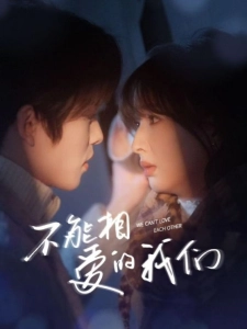短剧不能相爱的我们海报