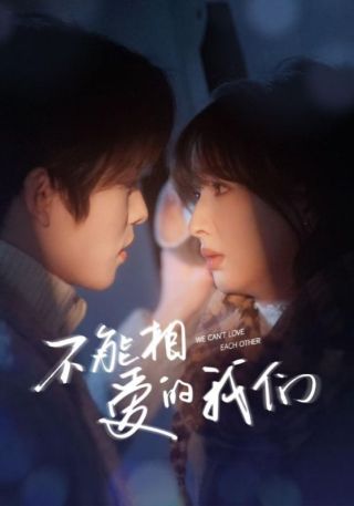短剧不能相爱的我们海报