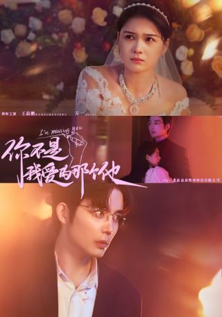 短剧你不是我爱的那个他海报