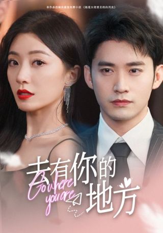 短剧去有你的地方海报