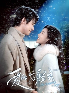 短剧爱的方程式海报