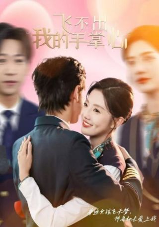 短剧飞不出我的手掌心海报