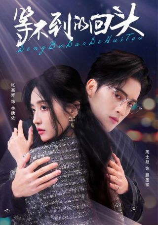 短剧等不到的回头海报