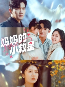 短剧妈妈的小救星海报