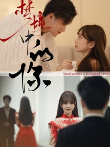 短剧梦境中的你海报