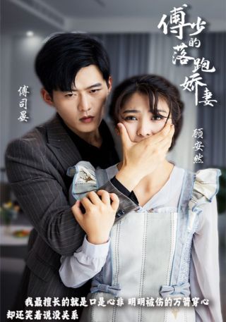 短剧傅少的落跑娇妻海报