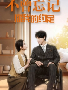 短剧不曾忘记你我的约定海报