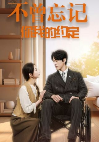 短剧不曾忘记你我的约定海报