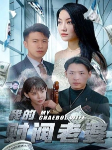 短剧我的财阀老婆海报