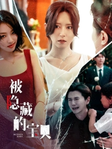 短剧被隐藏的宝贝海报