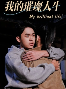 短剧我的璀璨人生海报