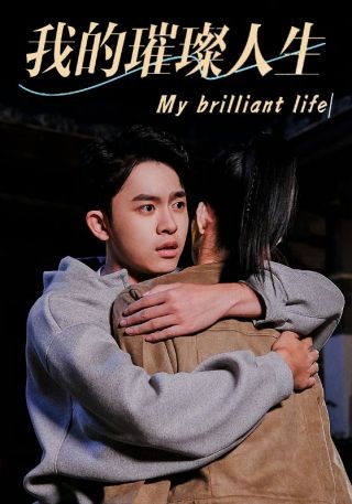 短剧我的璀璨人生海报