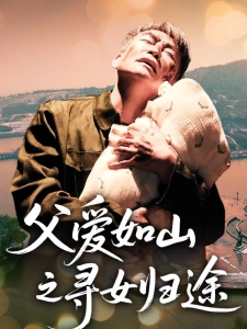 短剧父爱如山之寻女归途海报