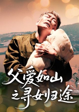 短剧父爱如山之寻女归途海报