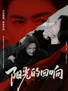 短剧阳光的回响海报