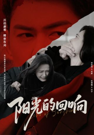 短剧阳光的回响海报