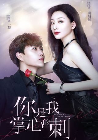 短剧你是我掌心的刺海报