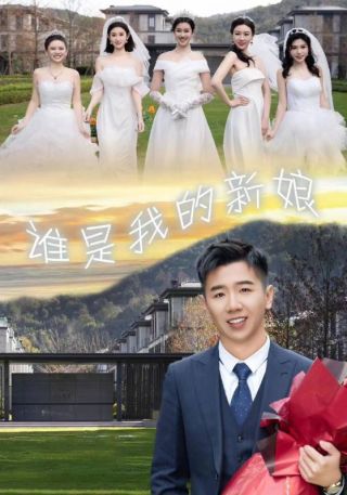 短剧谁是我的新娘海报