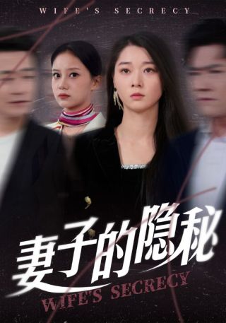 短剧妻子的隐秘海报