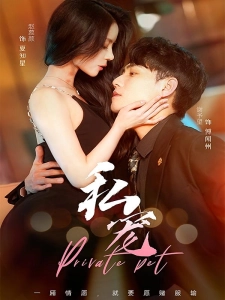 短剧私宠海报