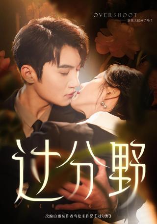 短剧过分野海报